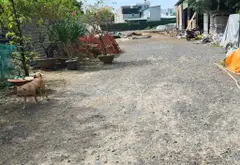 Bán 4000m nhà vườn mặt tiền Võ Thị Hồi, Hóc Môn... Bán nhà mặt phố tại Xuân Thới Sơn, Hồ Chí Minh 05