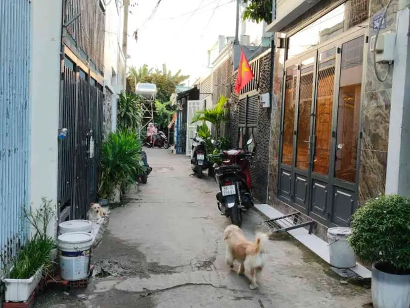 Bán nhà riêng chính chủ tại 1/ phạm thị Hy
Bà điểm... Bán nhà riêng tại Bà Điểm, Hồ Chí Minh 01