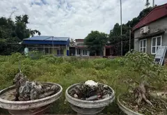 Bán đất 2 mặt ngõ thông thoáng tại Tiểu Trà, Dương Kinh... Bán đất tại Hưng Đạo, Hải Phòng 02