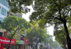 Bán nhà mặt phố 9 tầng tại quận trung tâm, diện tích 118m2... Bán nhà mặt phố tại Bạch Mai, Hà Nội 01