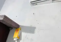 bán nhà cấp 4 tại giai phạm , yên mỹ, hưng yên... Bán đất tại Yên Mỹ, Hưng Yên 18