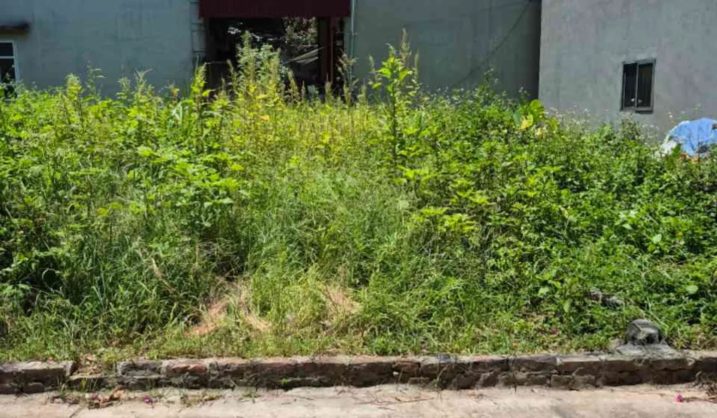 Bán đất phân lô xã Chương Dương, Hà Nội, diện tích 59m2 mặt tiền 4.1m... Bán đất tại Chương Dương, Hà Nội 01