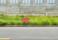 Đất đẹp KĐT Vigracera, Yên Phong, tiềm năng lớn... Bán đất tại Tam Đa, Bắc Ninh 02