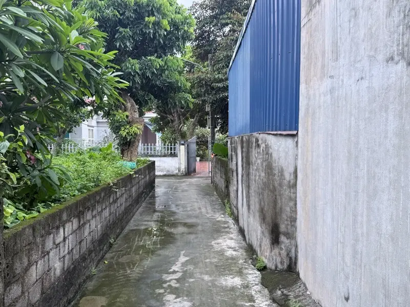 Đất Văn Phong sổ sẵn, vị trí đỉnh cho nhà đầu tư và an cư... Bán đất tại An Hải, Hải Phòng 01
