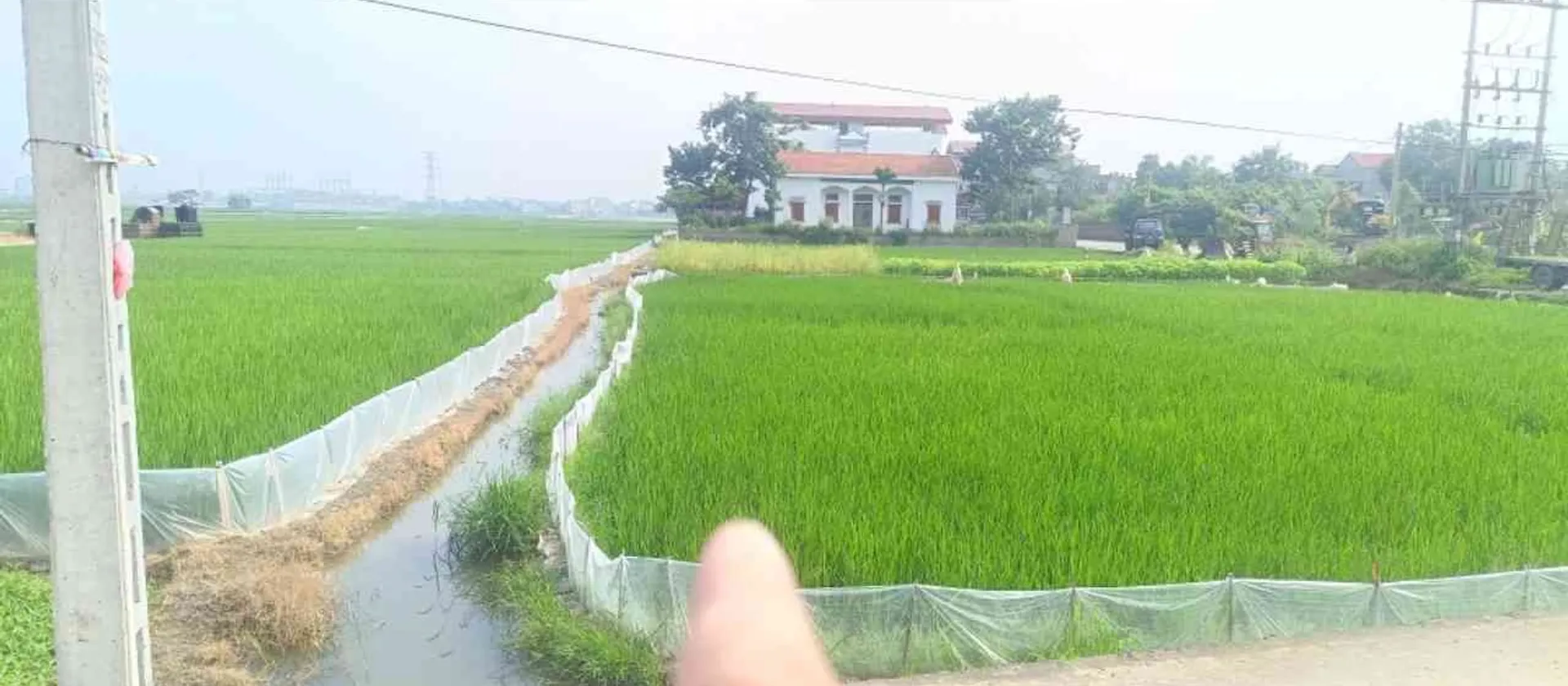 Cơ hội hiếm có sở hữu đất thổ cư đẹp tại Nghi Khúc, giá trị tăng vọt... Bán đất tại Mão Điền, Bắc Ninh 01