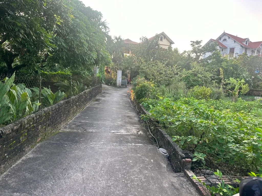 Đất Vàng Liên Nghĩa xã văn giang - Ô Tô Đỗ Cửa, Đầu Tư Ngay... Bán đất tại Tân Hưng, Hưng Yên 01