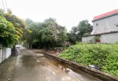 Cơ Hội Vàng Đầu Tư Đất Tại Tân Minh, Sóc Sơn!... Bán đất tại Sóc Sơn, Hà Nội 04