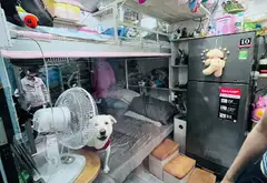 Nhà Phạm Thế Hiển Quận 8 Giá Tốt - Cơ Hội Vàng Sở Hữu Ngay... Bán nhà riêng tại Chánh Hưng, Hồ Chí Minh 07