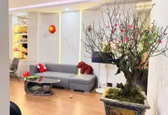 Căn hộ 3 phòng ngủ tầng trung tại Đức Giang - View sông, nội thất chất lượng cao... Bán căn hộ chung cư tại Việt Hưng, Hà Nội 04