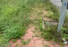 Bán đất thôn 5 Thủy Sơn, Thủy Nguyên - lô góc 2 mặt thoáng, diện tích 63.3m2... Bán đất tại Thủy Nguyên, Hải Phòng 06