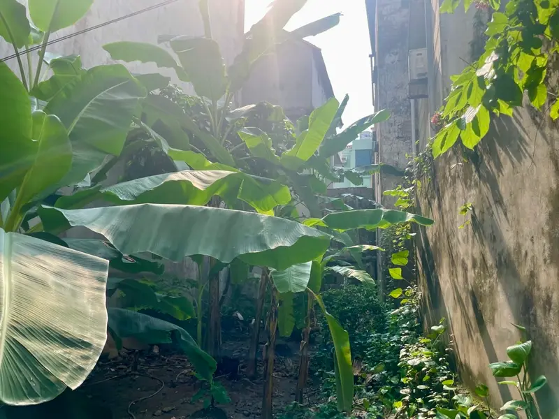 Đất Bồ Đề 89m2 gần ô tô, sổ đỏ chính chủ, đầu tư sinh lời tuyệt vời... Bán owner_side tại Bồ Đề, Hà Nội 01