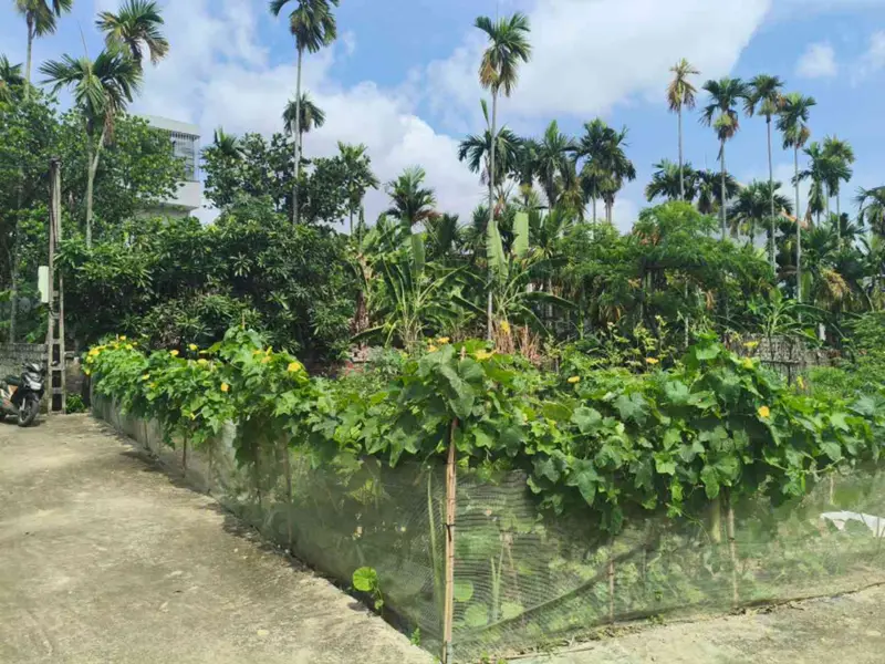 Lô Góc Hai Mặt Thoáng Giữa Trung Tâm Xã Lâm Động Cũ - Cơ Hội Đáng Giá... Bán đất tại Thiên Hương, Hải Phòng 01