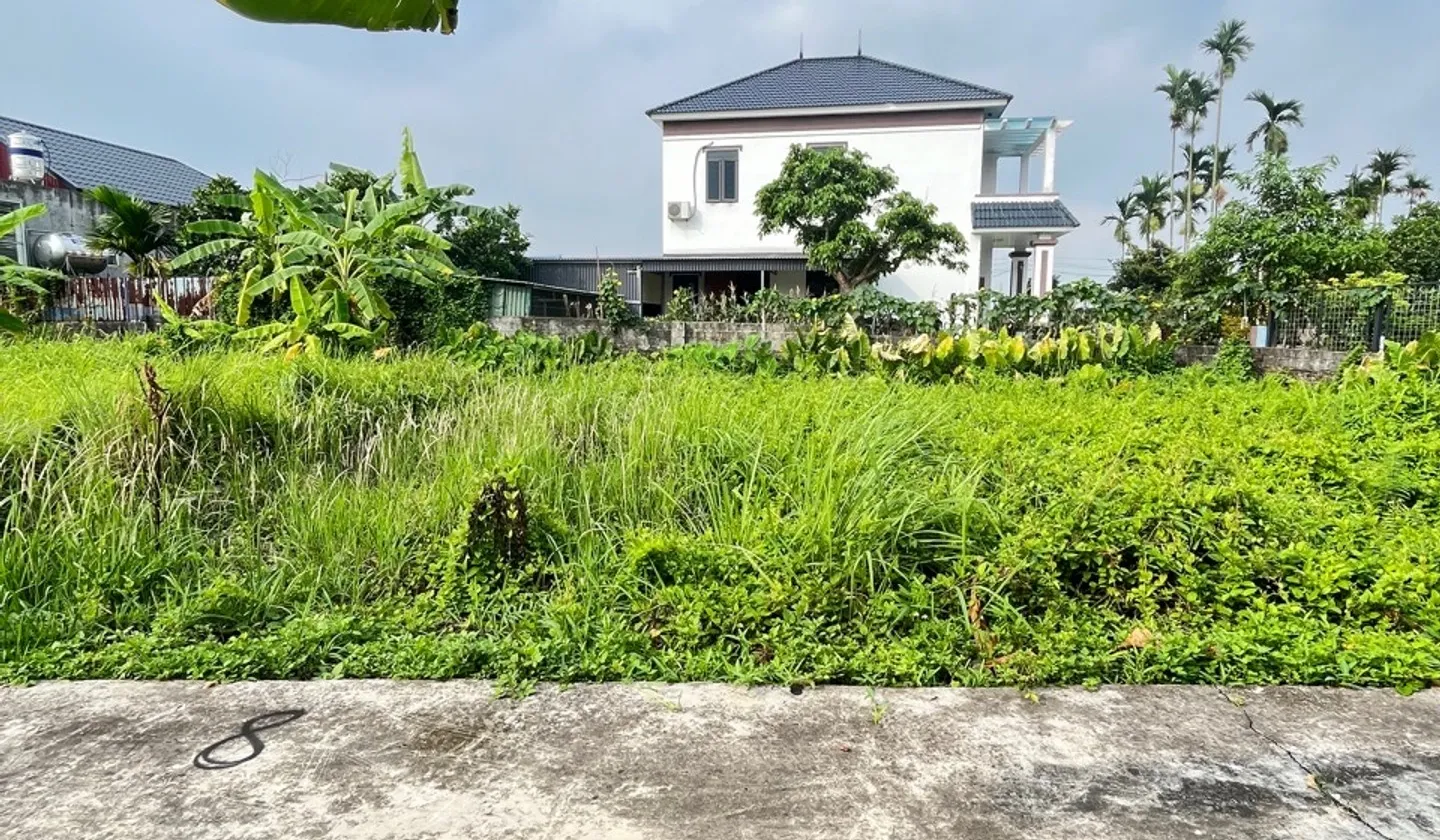 Cơ hội vàng sở hữu đất vị trí đắc địa tại KCN Tràng Duệ 3 với giá hấp dẫn... Bán đất tại An Trường, Hải Phòng 01