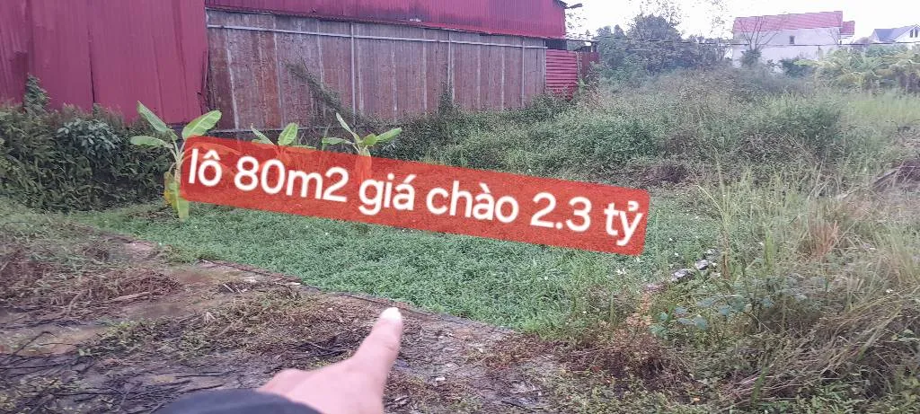Siêu mẫu SÓC SƠN 🔥 80.3m² Full thổ cư – Mặt tiền 5m, nở hậu 5.55m – CỘNG HÒA, PHÙ LINH... Bán đất tại Sóc Sơn, Hà Nội 01