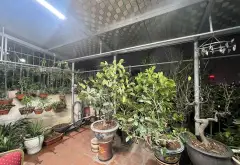 Nhà mặt phố Thanh Xuân đẳng cấp, 2 mặt thoáng, kinh doanh cực tốt... Bán nhà mặt phố tại Phương Liệt, Hà Nội 05
