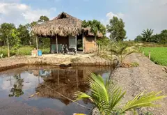B.á.n đất Hóc Môn, sổ hồng chính chủ, 1583m2, gần chợ, Đại học lao động xã hội…, nhỉnh 5 tỷ... Bán đất tại Đông Thạnh, Hồ Chí Minh 06