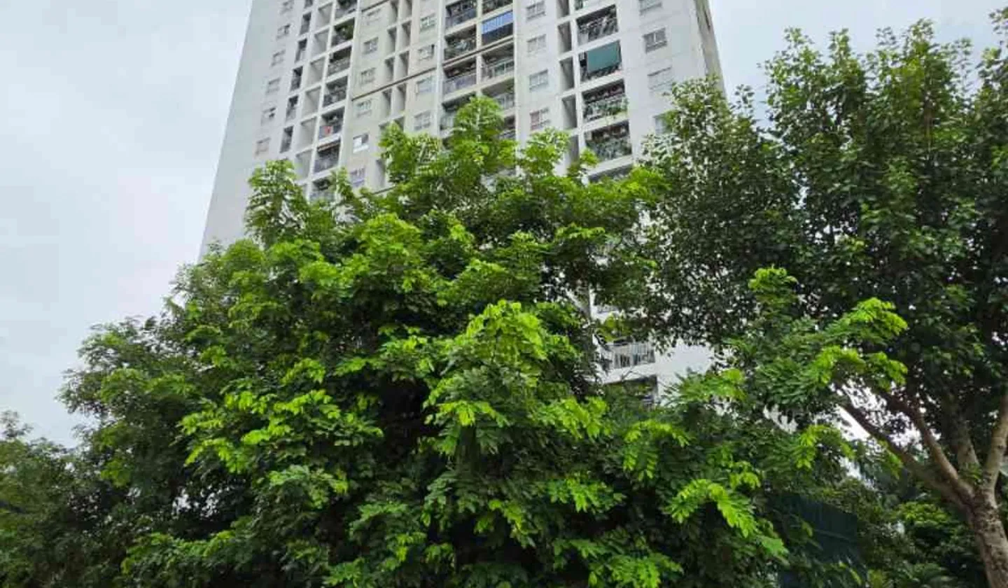 Bán căn hộ 2 phòng ngủ tại phường Phúc Lợi, EcoHome E1, diện tích 68.6m², giá 5.1 tỷ VNĐ... Bán căn hộ chung cư tại Phúc Lợi, Hà Nội 01