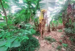 Đất Vuông Vắn Nở Hậu Giá Tốt Tại Phú Mỹ Biên Giang... Bán đất tại Chương Mỹ, Hà Nội 06