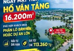Bán Gấp! Đất 1.62ha Hồ Văn Tắng, Tân Phú Trung, Củ Chi. Đầu tư sinh lời 113 tỷ... Bán đất tại Củ Chi, Hồ Chí Minh 05