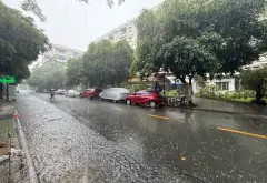 Chung cư Nhiêu Lộc C - Lô D Phú Thọ Hoà... Bán căn hộ chung cư tại Tân Sơn Nhì, Hồ Chí Minh 04