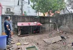 Cơ hội vàng sở hữu đất Yên Mỹ vị trí đẹp, hiếm có, giá tốt... Bán đất tại Thanh Trì, Hà Nội 03