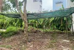 Bán nhà mặt phố 85m2 tại xã Bình Hưng, giá 5,1 tỷ 0948769331... Bán nhà mặt phố tại Bình Hưng, Hồ Chí Minh 05