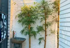 Bán nhà 4 tầng 35m2 ngang 5.1m nhỉnh 5 tỷ... Bán nhà riêng tại Tân Bình, Hồ Chí Minh 02
