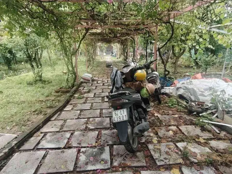 Nhà vườn siêu rộng tại Long Thới, Nhà Bè không gian yên tĩnh có sân vườn hồ cá coi... Bán nhà riêng tại Hiệp Phước, Hồ Chí Minh 01