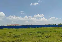 Đất Vàng Cây Bàng - Sinh Lời Đỉnh Cao, Sổ Riêng Rõ Ràng... Bán đất tại Tân Nhựt, Hồ Chí Minh 08