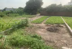 Bán đất 102 m2 hướng Tây Nam tại Bắc Mã 2, An Sinh, pháp lý cơ sở... Bán đất tại An Sinh, Quảng Ninh 01