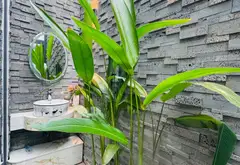NHÀ FULL NỘI THẤT THẠNH LỘC 31 Q12 – 63M²– 5 TẦNG – 4PN 💸 6,6 TỶ
✅ DT 63m² (4,5 x 14m),... Bán nhà riêng tại An Phú Đông, Hồ Chí Minh 10