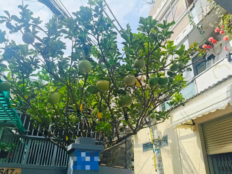 Nhà Hiếm Phường Bình Đông - Mặt Tiền Rộng, Giá Tốt... Bán nhà riêng tại Bình Đông, Hồ Chí Minh 01
