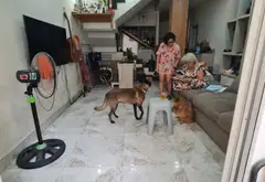 Nhà 2 tầng Trần Văn Kỷ giảm sốc chỉ còn 7 tỷ... Bán nhà riêng tại Bình Thạnh, Hồ Chí Minh 14