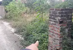 Mảnh đất vàng gần trường đua ngựa - cơ hội đầu tư tuyệt vời... Bán đất tại Sóc Sơn, Hà Nội 01