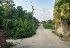 Bán đất thôn Phú Cường, Minh Phú, đất góc 2 mặt tiền 735m2, full thổ cư... Bán đất tại Kim Anh, Hà Nội 04