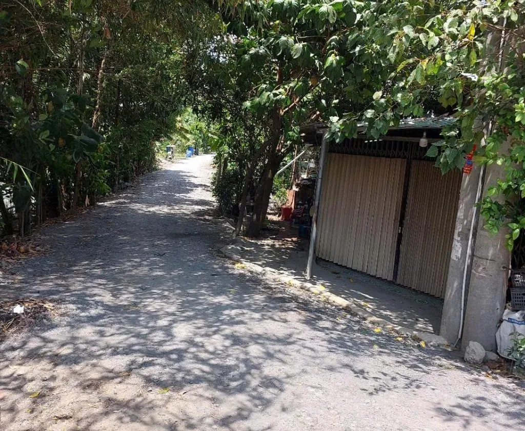 Nhà cấp 4 rộng rãi, giá sốc Củ Chi... Bán nhà riêng tại Bình Mỹ, Hồ Chí Minh 01