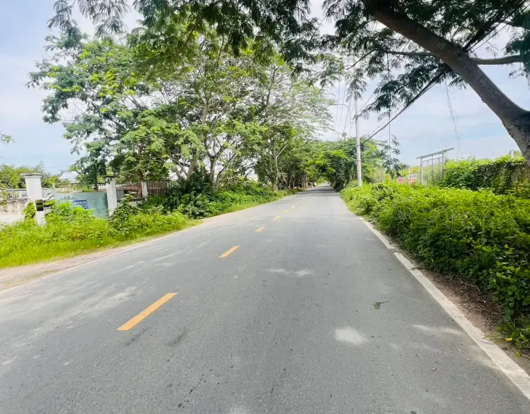 Bán đất mặt tiền kinh doanh đường Ngô Quang Thắm, xã Nhơn Đức... Bán đất tại Hiệp Phước, Hồ Chí Minh 01