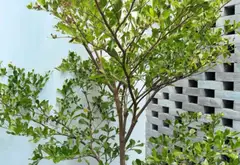 Cơ hội vàng sở hữu nhà 3 tầng vị trí đắc địa tại Phạm Cự Lượng... Bán nhà riêng tại An Hải, Đà Nẵng 13