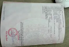 Nhà hẻm Tôn Thất Thuyết, Quận 4 - Không gian xinh, giá hấp dẫn... Bán nhà riêng tại Xóm Chiếu, Hồ Chí Minh 13