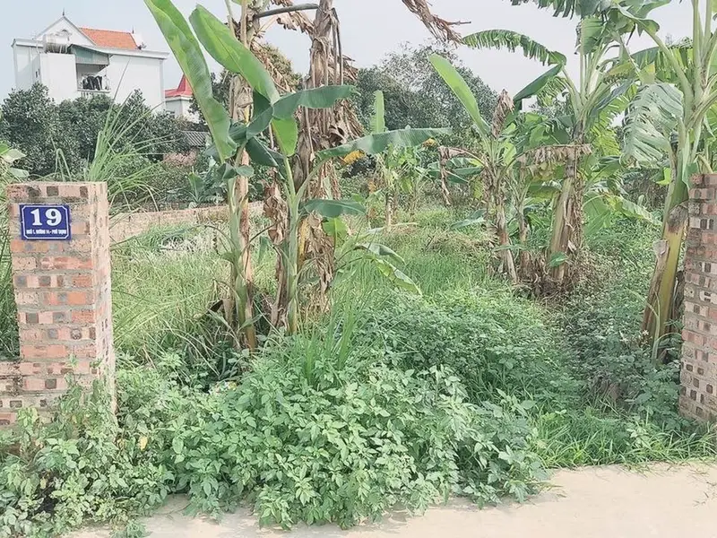 Cơ hội hiếm có tại Kim Anh - đất phân lô ô tô tránh, giá hấp dẫn... Bán đất tại Kim Anh, Hà Nội 01