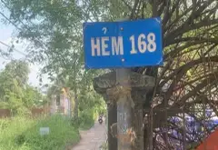 Đất vườn siêu đẹp tại Long Trường giá hợp lý... Bán đất tại Long Trường, Hồ Chí Minh 04