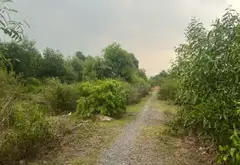 Đất 2 mặt tiền view kênh tại Bộ Đội An Điền - Không gian sống xanh mát... Bán đất tại Vĩnh Lộc, Hồ Chí Minh 03