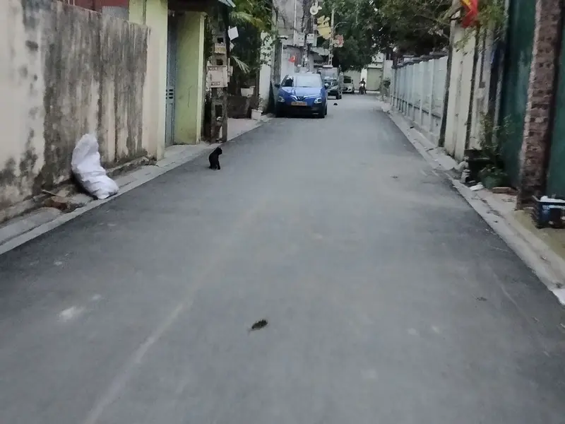 🏡 HÀ LÂM 2 – ĐÔNG ANH | ĐẤT ĐẸP TẦM TÀI CHÍNH 4 TỶ... Bán đất tại Thư Lâm, Hà Nội 01
