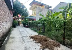 ⭕️ QUANG MINH TIẾN THẮNG GIÁP CHỢ HOA QUẢ 85M2 ĐẤT Ô TÔ VÀO VÀI BƯỚC RA PHỐ CHỈ 3.x Tỷ VÕ VĂN KIỆT... Bán đất tại Quang Minh, Hà Nội 01