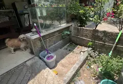 Bán nhà mặt phố 2 tầng 919m², mặt tiền 23m tại Bình Tân... Bán nhà mặt phố tại Bình Trị Đông, Hồ Chí Minh 08