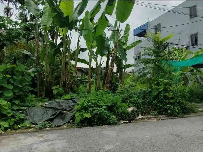 Bán đất 69m² trung tâm xã Xuân Biều, mặt tiền 6,2m, hướng Tây Nam... Bán đất tại Phù Liễn, Hải Phòng 01