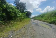 Kho bãi rộng lớn, vị trí đẹp giá hợp lý tại Đinh Đức Thiện... Bán kho, nhà xưởng tại Bình Chánh, Hồ Chí Minh 01