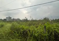 Siêu phẩm nhà đất 2.488m2 giá siêu tốt tại Long Phước Quận 9... Bán nhà riêng tại Long Phước, Hồ Chí Minh 04