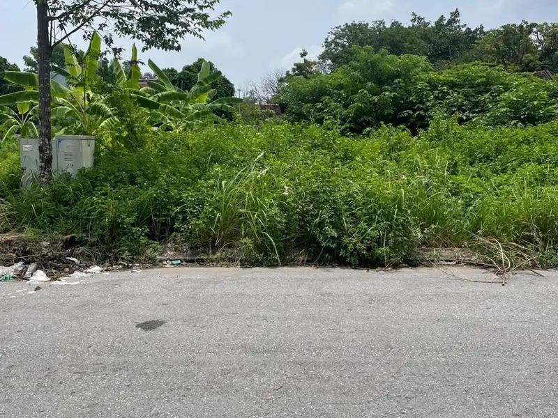 Lô đất mặt tiền siêu rộng, ô tô tải vào tận nơi, đầu tư sinh lời ngay!... Bán đất tại Từ Sơn, Bắc Ninh 01