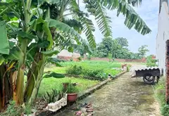 Đất trung tâm Thôn Thanh Lại - Đầu tư nhỏ sinh lời lớn... Bán đất tại Sóc Sơn, Hà Nội 05